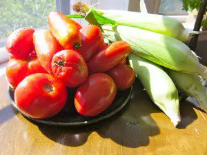 Fresh red tomatoes and green corn on a wooden table.