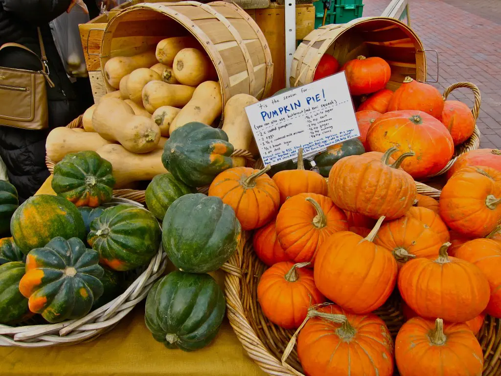 Baskets of small pumpkins and squash at a market.