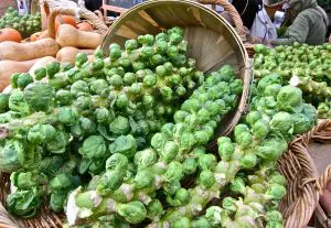Fresh Brussels sprouts spilling from a basket at a market.