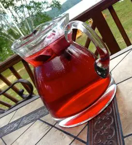 A glass pitcher filled with red fruit punch on a wooden table outdoors.