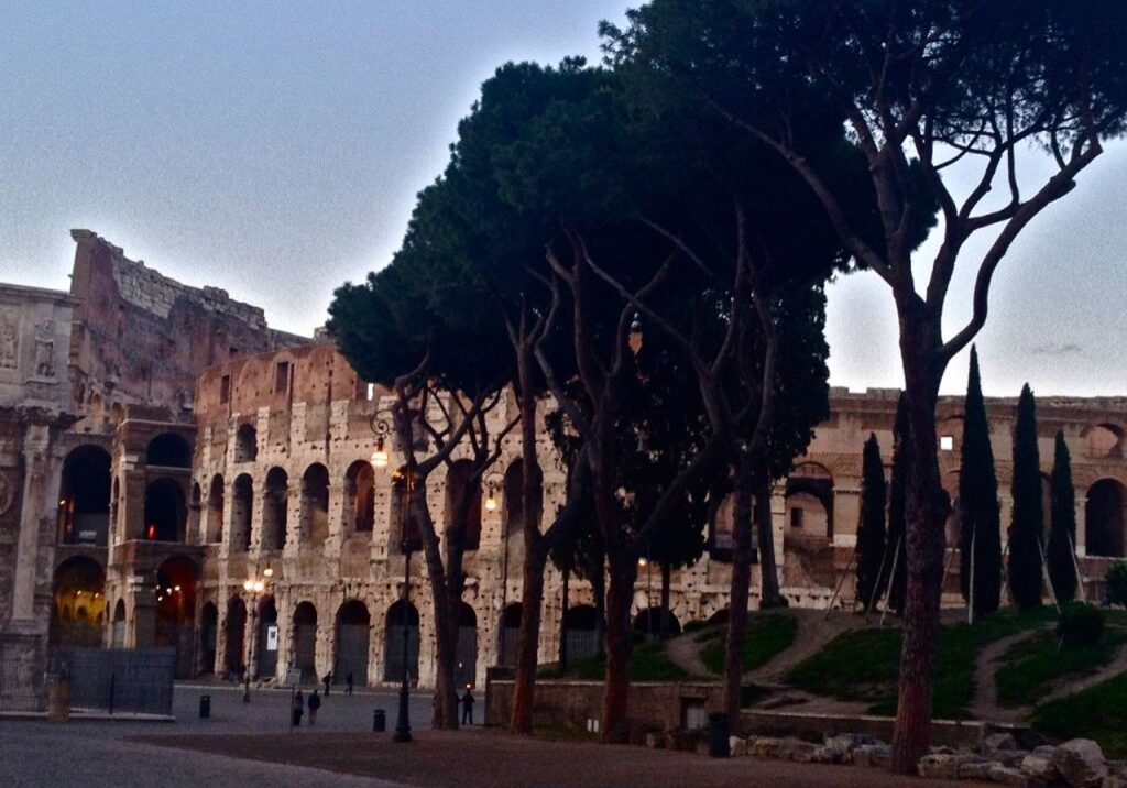 Evening view of the Colosseum with tall trees in the foreground.