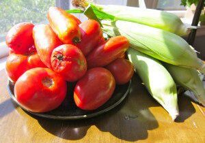 Fresh red tomatoes and green corn on a wooden table.