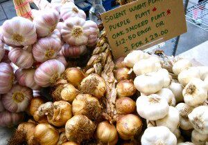 Fresh garlic bulbs displayed for sale at a market stall.