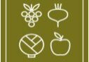 White vegetable icons on green background.