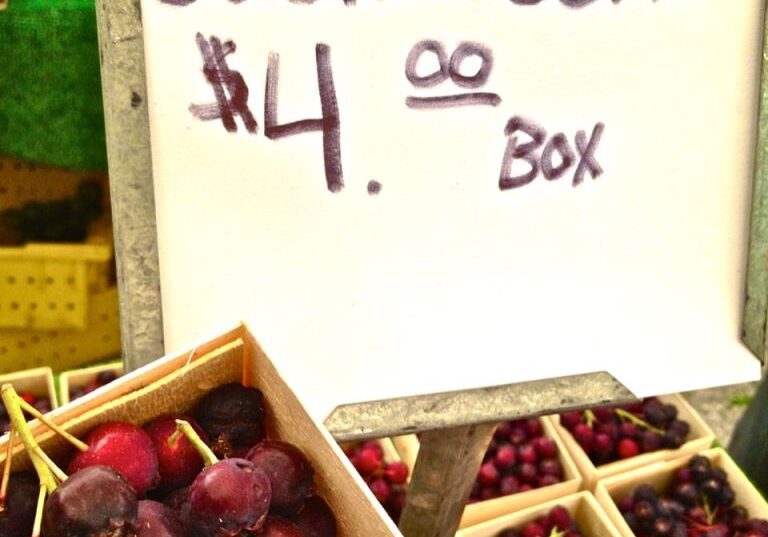 Fresh Saskatoon berries for sale at $4 per box.