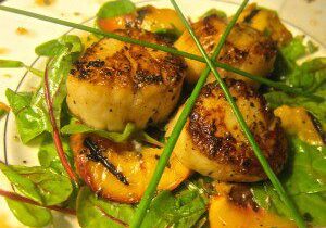 Seared scallops served on a bed of greens with herbs and orange slices.