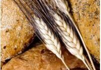 Close-up of wheat grains on a textured surface.