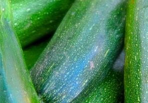 Close-up of fresh green zucchini with natural texture.